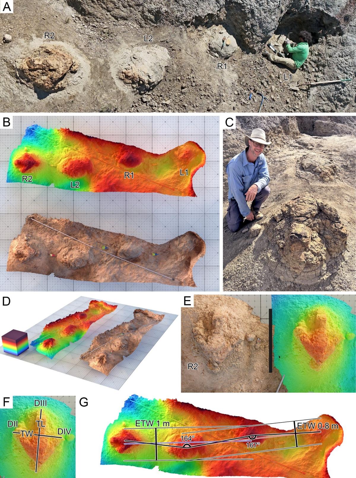 Photo: Journal of Vertebrate Paleontology