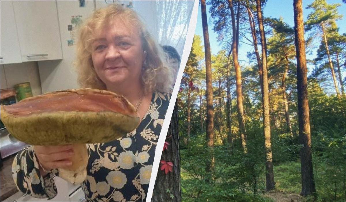 На Волыни нашли белый гриб весом почти 2 килограмма (фото) На Волыни нашли белый гриб весом почти 2 килограмма (фото)