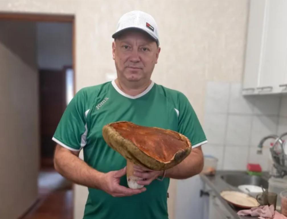 На Волині знайшли білий гриб вагою майже 2 кілограми (фото) На Волині знайшли білий гриб вагою майже 2 кілограми (фото)
