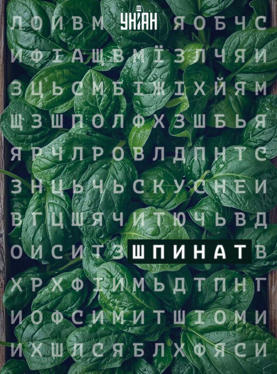 Слово 'шпинат' спрятано прямо у вас перед глазами: удастся ли вам его разглядеть? Слово 'шпинат' спрятано прямо у вас перед глазами: удастся ли вам его разглядеть?