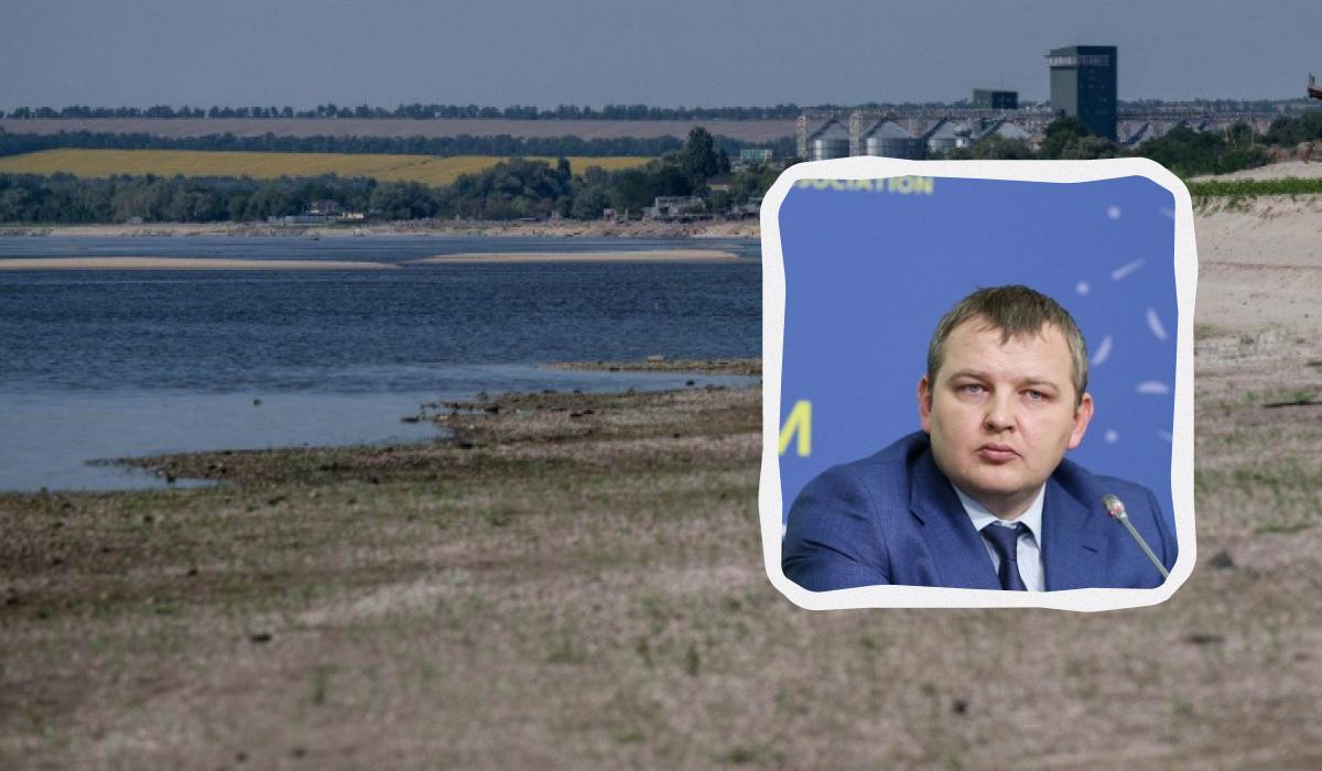На месте Каховского моря вырос 10-метровый лес, но его хотят затопить: названа причина На месте Каховского моря вырос 10-метровый лес, но его хотят затопить: названа причина