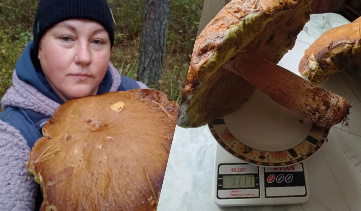 Волинянка знайшла десять грибів-велетнів, один з 'трофеїв' важив понад кілограм Волинянка знайшла десять грибів-велетнів, один з 'трофеїв' важив понад кілограм