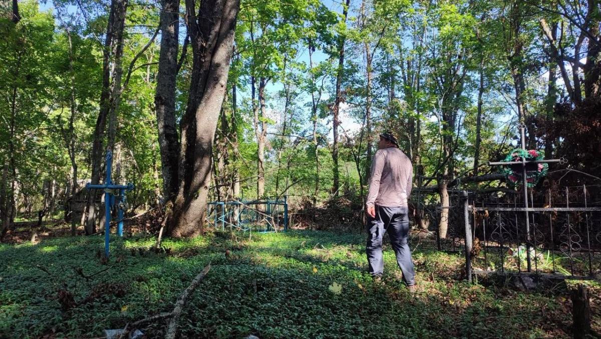 На кладбищах возле Чернобыля появились уникальные растения (фото) На кладбищах возле Чернобыля появились уникальные растения (фото)