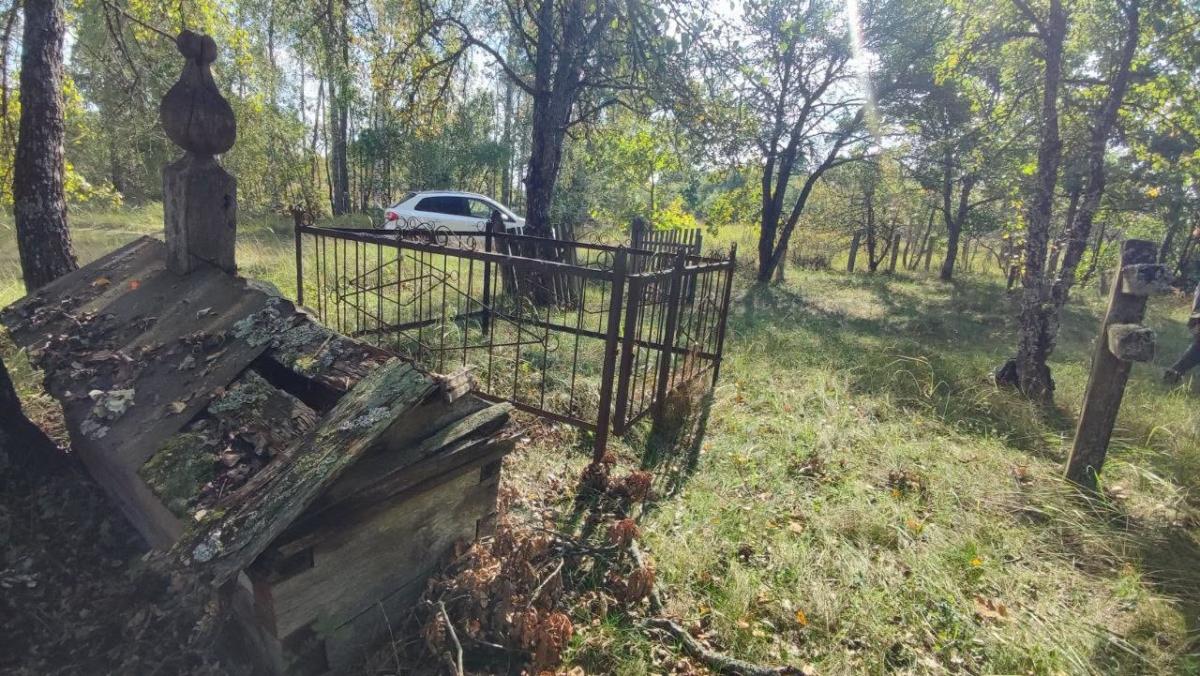 На кладбищах возле Чернобыля появились уникальные растения (фото) На кладбищах возле Чернобыля появились уникальные растения (фото)