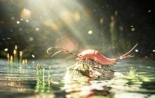 24 ноги вместо шести: ученые нашли существо, которое проливает свет на эволюцию насекомых
