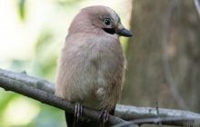 2 сентября в Киеве станет на 5 градусов свежее