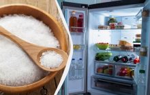 Горсть соли в холодильнике: полезный трюк, которым мало кто пользуется