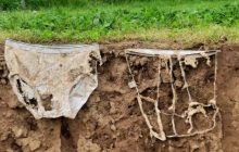 У Швейцарії закопали 2000 трусів: за два місяці вчені були ошелешені