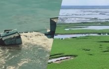 Росіяни заходять у зарості Каховського водосховища: яку мету вони переслідують, - France24