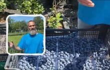 Чоловік переїхав з Києва у село і вирощує там лохину