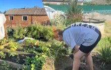 Жінка купила хату в селі за $19 тисяч: її покупку розкритикували (відео)