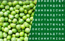 Треба знайти слово "горох": швидкий тест для перевірки IQ