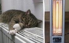 Традиционные батареи уходят в прошлое: чем сегодня отапливают дома