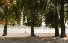 У Києві потеплішає до +24°: названо точну дату, коли до столиці повернеться літо (графік)