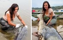 У Польщі жінка виловила з Вісли сома завдовжки 2,34 метра: фото гіганта