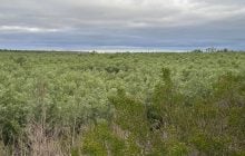 Дно Каховського моря може приховувати унікальні артефакти: археолог розповів, які саме