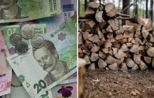 Пенсионерам выплатят по 8 тысяч гривень на дрова: кто получит деньги