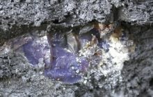 Дорожные рабочие нашли 1500 окаменелостей, застывших в янтаре 105 миллионов лет назад (фото)