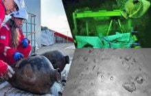 На глубине 1,8 км Средиземном море нашли груз корабля возрастом 3300 лет