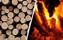 Названо найкращі дрова для зими: це не дуб і не бук