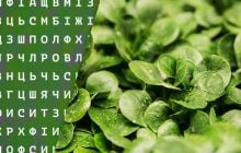 Слово "шпинат" спрятано прямо у вас перед глазами: удастся ли вам его разглядеть?