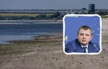На месте Каховского моря вырос 10-метровый лес, но его хотят затопить: названа причина