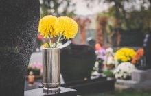 Хризантеми мають нового конкурента: ці садові квіти дедалі частіше несуть на могили