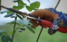 Коли обрізати троянди восени залежно від сорту: експерти дали пораду