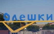 В Совете Европы призвали РФ прекратить огонь в Олешках, чтобы оказать людям помощь