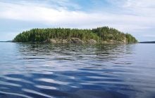 Учёные погрузили 1500 елок на дно озера: через 3 года они увидели нечто невероятное
