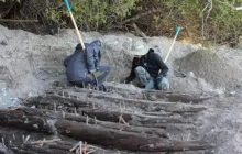 Восьмирічний хлопчик за допомогою металошукача знайшов місце корабельної аварії (фото)