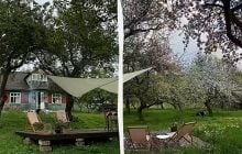 Женщина купила 100-летний дом в Карпатах и превратила его в райский уголок (фото)