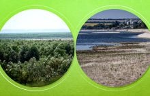 Відновлення Каховського водосховища стане третьою екокатастрофою, - експерт