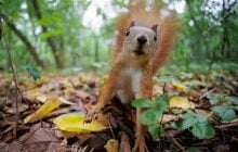 29 сентября в Киеве будет один из самых теплых дней недели