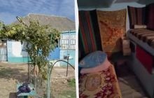 Дом у реки с мебелью и летней кухней продают за 3500 долларов: как он выглядит