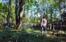 На кладбищах возле Чернобыля появились уникальные растения (фото)