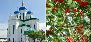5 вересня: яке церковне свято, що заборонено робити та якою буде зима за прикметами