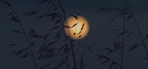 Лунный календарь на ноябрь 2026: лучшие дни для денег, работы и любви