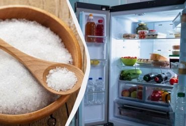 Горсть соли в холодильнике: полезный трюк, которым мало кто пользуется