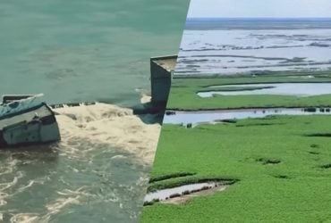 Россияне проникают в заросли Каховского водохранилища: какую цель они преследуют, – France24