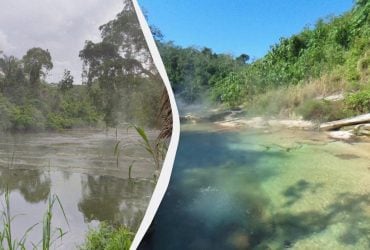 Річка в Амазонії нагрівається до 86°C, хоча поруч немає вулканів: як це можливо