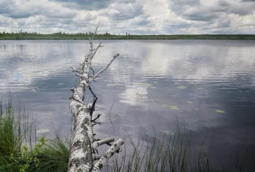 Темна вода та прадавні болота: на Волині заховалося озеро віком 8 тисяч років