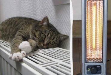 Традиционные батареи уходят в прошлое: чем сегодня отапливают дома