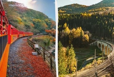 Не лише Альпи: маршрути поїздів із найгарнішими у світі осінніми краєвидами
