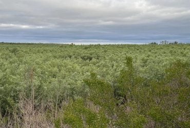 Дно Каховского моря может скрывать уникальные артефакты: археолог рассказал, какие именно