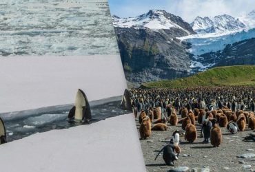 Дальше некуда: названы 8 самых отдаленных мест Земли, открытых для туристов