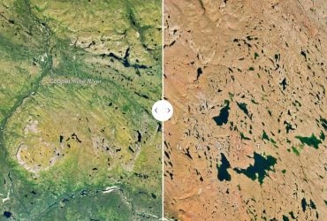 Канадская тундра окрасилась в осенние цвета, пока США страдали от рекордной жары (фото)