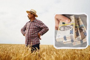 Сколько стоит покупка земли сельскохозяйственного назначения: цены и подводные камни