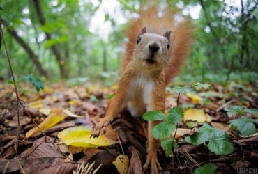 29 сентября в Киеве будет один из самых теплых дней недели