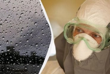 Зміна клімату може спричинити спалах небезпечної інфекції: вчені б’ють на сполох